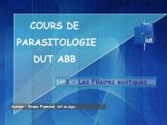 3 - Les Filaires exotiques