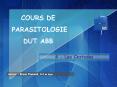 4 - Les Cestodes PowerPoint PPT Presentation