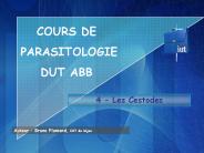 4 - Les Cestodes