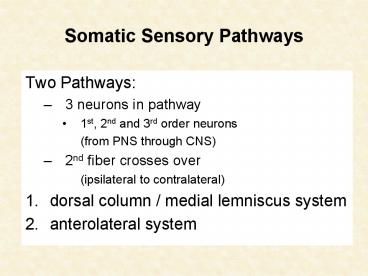 Somatic Sensory Pathways