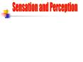 Sensation and Perception PowerPoint PPT Presentation