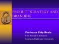 PRODUCT STRATEGY AND BRANDING PowerPoint PPT Presentation