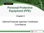 Personal Protective Equipment (PPE)