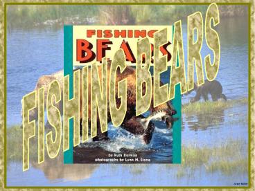 FISHING BEARS