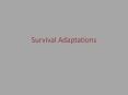 Survival Adaptations PowerPoint PPT Presentation