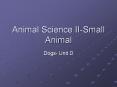 Animal Science II-Small Animal PowerPoint PPT Presentation