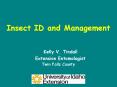 Insect ID and Management PowerPoint PPT Presentation