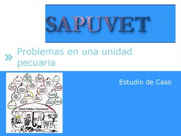 Problemas en una unidad pecuaria