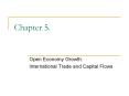 Open Economy Growth: PowerPoint PPT Presentation