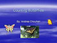 Counting Butterflies