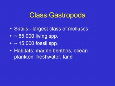 Class Gastropoda