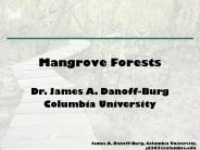Mangrove Forests