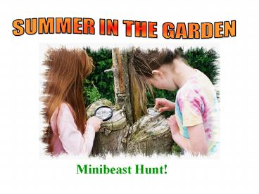 SUMMER IN THE GARDEN