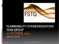 FLAMMABILITY STANDARDIZATION TASK GROUP 20 October, 2011 PowerPoint PPT Presentation