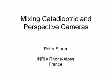 Mixing Catadioptric and Perspective Cameras