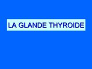 LA GLANDE THYROIDE