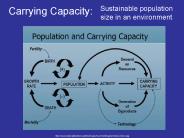 Carrying Capacity: