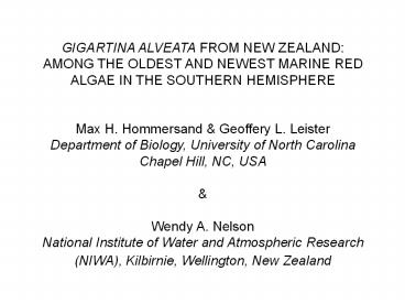 GIGARTINA ALVEATA FROM NEW ZEALAND: