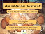 Falcata (marketing) chain ? tree grower lost?