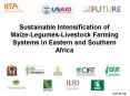 Sustainable Intensification of Maize-Legumes-Livestock Farming Systems in Eastern and Southern Africa PowerPoint PPT Presentation