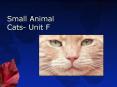 Small Animal Cats- Unit F PowerPoint PPT Presentation