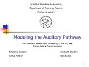 Modeling the Auditory Pathway