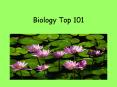 Biology Top 101 PowerPoint PPT Presentation