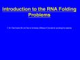 Introduction to the RNA Folding Problems PowerPoint PPT Presentation