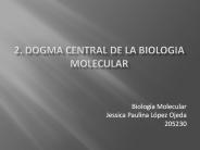 2. DOGMA CENTRAL DE LA BIOLOGIA MOLECULAR