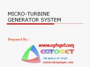 MICRO-TURBINE GENERATOR SYSTEM
