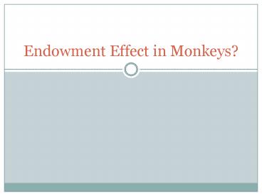 Endowment Effect in Monkeys?