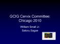 GCIG Cervix Committee: Chicago 2010 PowerPoint PPT Presentation