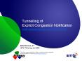 Tunnelling of Explicit Congestion Notification draft-briscoe-tsvwg-ecn-tunnel-03.txt PowerPoint PPT Presentation