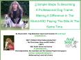 How To Become A Professional Dog Trainer In 3 Simple Steps (Step 2) PowerPoint PPT Presentation
