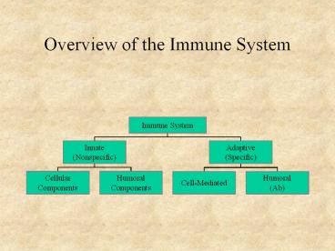 PPT – Overview of the Immune System PowerPoint presentation | free to ...