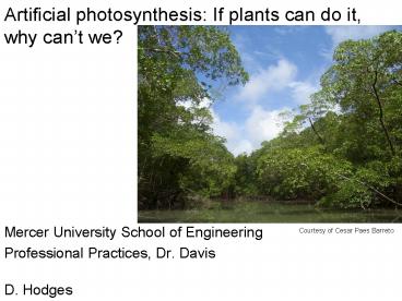 Artificial photosynthesis: If plants can do it, why can