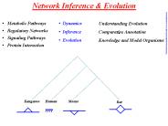 Network Inference
