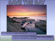 SAVE THE BAY