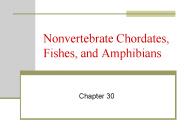 Nonvertebrate Chordates, Fishes, and Amphibians