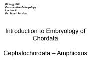Biology 340