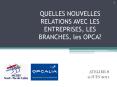 QUELLES NOUVELLES RELATIONS AVEC LES ENTREPRISES, LES BRANCHES, les OPCA? PowerPoint PPT Presentation