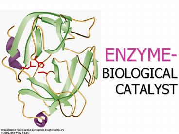 ENZYME- BIOLOGICAL CATALYST