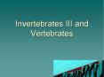Invertebrates III and Vertebrates PowerPoint PPT Presentation