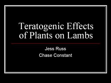 Teratogenic Effects of Plants on Lambs