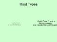 Root Types PowerPoint PPT Presentation