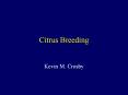 Citrus Breeding PowerPoint PPT Presentation