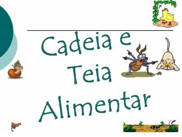 Cadeia e Teia Alimentar