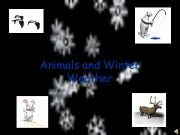 Animals and Winter Weather