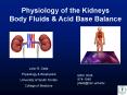 Physiology of the Kidneys PowerPoint PPT Presentation