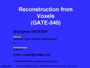 Reconstruction from Voxels (GATE-540)